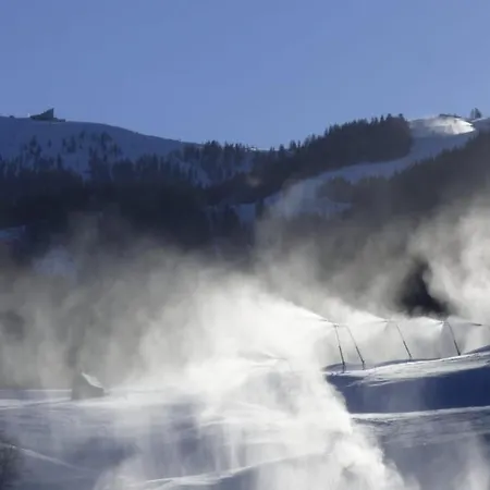 Bella Vista Apartment Bad Kleinkirchheim